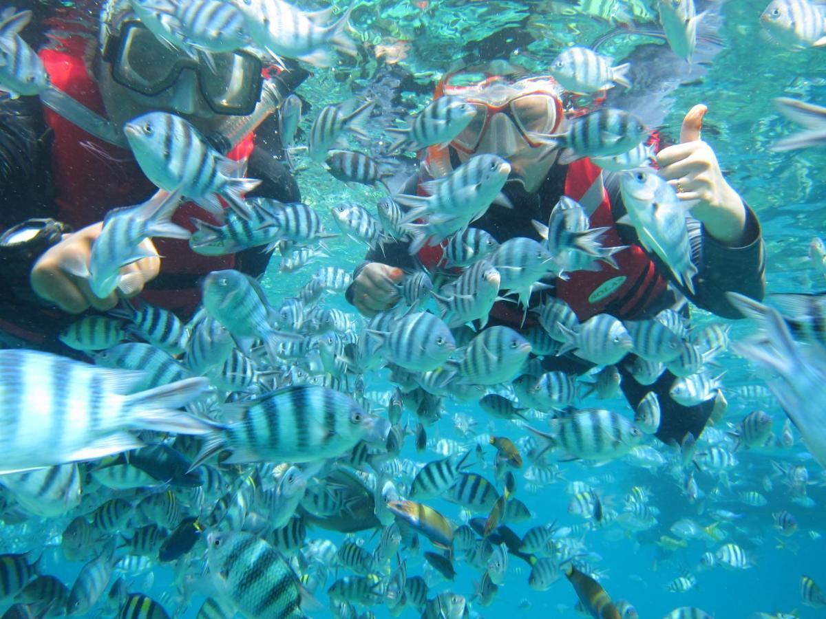 Готель Go Deeper Tioman Екстер'єр фото